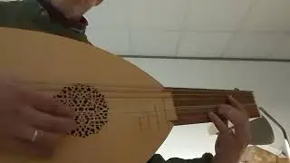 8 Course Renaissance Lute by Stephen Haddock (Previously Owned)