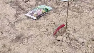 permaculture planting trees in Spain