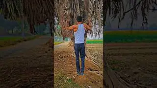 advance Pull up | pullups | pk gym | #shorts #pullups