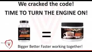 Valentus Thermo Perk 5 Main Active Ingredients - Valentus Thermo Perk Ingredients
