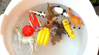 Discover Amazing domestic animals and forest animals name for kids | DWH Animals 