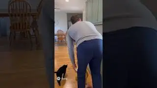 Baby Falls from Kitchen Counter &mdash; Dad Rushes to Help! | Crazy Lights