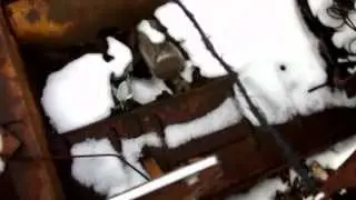 crosley car barn rescue