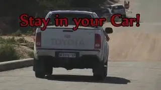 Stupid People, hippo, KrugerPark, South Africa