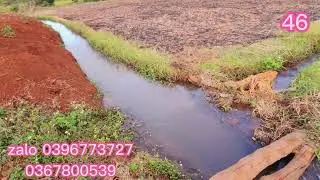 (Đ&atilde; b&aacute;n) 4,5ha cape chỉ 380tr 1ha gi&aacute;p suối ,điện 3pha,đất đỏ ,c&aacute;ch trung t&acirc;m huyện mang yang 6km