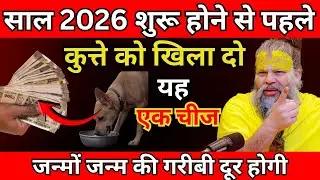 2026 साल शुरू होने से पहले कुत्ते को खिला दो यह 1 चीज़,आपकी 7 जन्मो की गरीबी दूर होगी | premanand ji