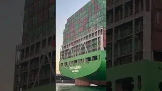 Evergreen Shipping Company: EVER LAUREL