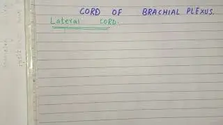 mnemonic to remember lateral cord of brachial plexus
