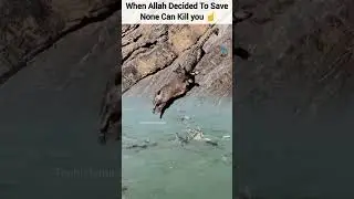Craziest:The Story of Survival when Allah Intervenes#viral #youtubeshorts #shorts #shortsfeed
