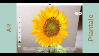 Best Augmented Reality (AR) Apps - November 2018