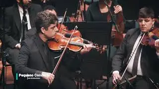 Edino Krieger &ndash; Pequeno Concerto para violino e cordas | OSN UFF | Solista e Regente: Daniel Guedes