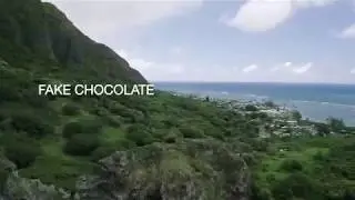 Fake Chocolate Official Book Trailer -- Funny Space Opera by Amber Royer -- Chocoverse Book 3