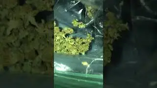 10 ounces of weed! (Sticky af)