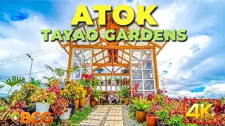 Tayao Gardens Atok Benguet 4K Walk