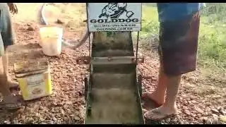 Ouro Fino? S&oacute; a Original GoldDog Pega! Veja Agora!