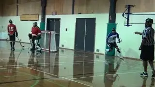 What A Goal! (Ball Hockey Goals - Herman Sunner) Ball Hockey Goal Skills Tricks Drills Dekes