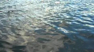 Feeding the Obsession-Hex fishing at Butt Lake June '13