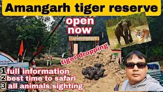 अब खुला है amangarh tiger reserve | bijnor tiger reserve | amangarh tiger reserve full information