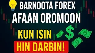 FOREX MAALIDHA AFAAN OROMOON | WHAT IS FOREX IN AFAAN OROMOO