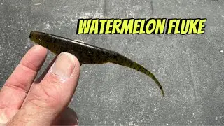 When A Watermelon Fluke Outproduces ANY Other Lure&hellip;