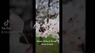 Happy 1st day of Spring March 20 2022 #spring