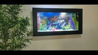 Hanging aquariums for Atelier Artima
