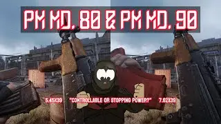 Stalker Anomaly: Duo PM md 80 & PM md 90 + Bas Scopes + 3DSS