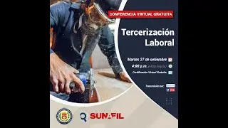 Conferencia: 