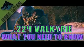 224 Valkyrie: Everything You Need to Know (long range ar-15)