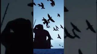 Background Caption Overly Video for Capcut