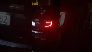 Skoda Octavia 3 Vrs - rear led lights dimming #carlover #car #dimming #lights #skoda
