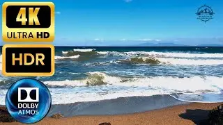 Fall Asleep Fast with Windy Beach Waves: Nature's Sleep Aid & White Noise