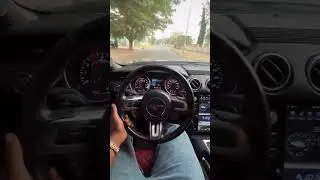 Mustang rare sound in full speed