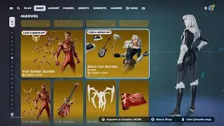 Cat knocks over PS5 while trying to play fortnite.