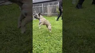Ruby Loves Her Bubbles!