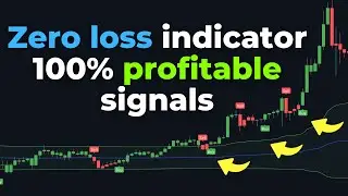 Торговая стратегия MACD + VWAP с нулевым убытком. 100% прибыль.