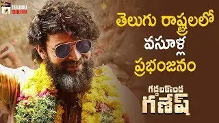 Gaddalakonda Ganesh (Valmiki) Movie Weekend Collections | Varun Tej | Pooja Hegde | Harish Shankar