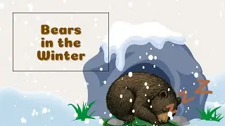Bears in Winter - An informative animal story for kids!