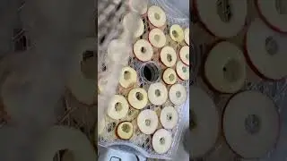 Ломтики сушеных яблок 😍 полезный перекус
