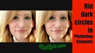 Learn Photoshop Elements - Getting rid of dark circles under the eye