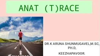 ANAT (T)RACE || FIRST MOTOR BRANCH OF FACIAL NERVE || DR.K.ARUNA || MAAS KEEZHAPAVOOR 