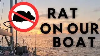 Rat vs. Sailor! Sailing the Mediterranean with an Unexpected Rat Stowaway! EP 14 - SAILING EUROPE
