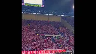 WALL OF NOISE FROM BOUNCING SC FREIBURG ULTRAS GERMAN FOOTBALL