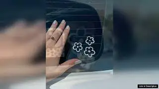 3pcs Flower Pattern Waterproof Car Sticker SHEIN USA Review