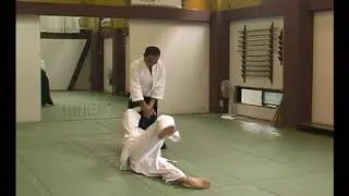 Shomen tsuki kotegaeshi 2