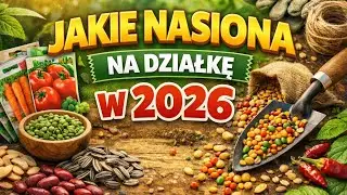 Co wysiać w przyszłym roku? 🫘🌱