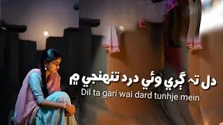 Best_Sindhi_Slowed_Song | Dil Ta Gari Wai Dard Tunhije Men | Fozia Soomro Slowed Reverb Song