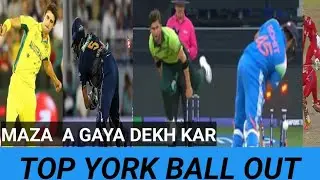 Top Unplayable Yorkers in Cricket History | Stumps Flying!