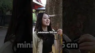 Japanese Girls : What is the ideal height of a Guy!  #japan #japanese #shorts