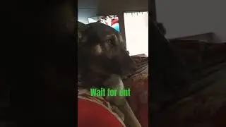 cute reaction 😂